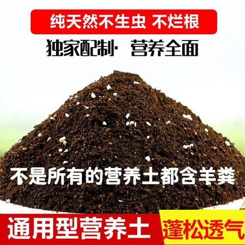 通用型多肉植物颗粒土含%20羊粪有机酸性泥炭营养土绿植花卉通用