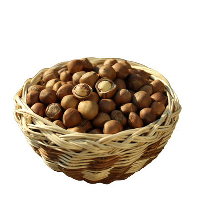 坚果炒熟榛子新鲜榛子