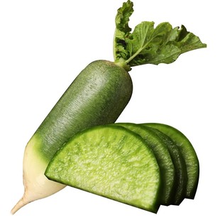 北方老品种大青萝卜种子大青皮绿萝卜籽秋季易种腌渍生吃罗卜种籽