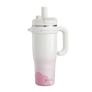 宫里的世界物生物联名款大力水守保温杯巨无霸大容量水杯生日礼物