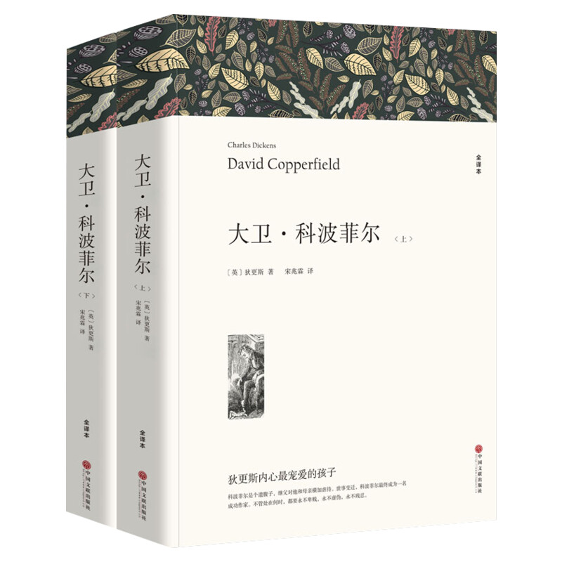 【新华文轩】大卫·科波菲尔 全译本平装版(全2册) (英)狄更斯 正版书籍小说畅销书 新华书店旗舰店文轩官网 中国文联出版社