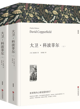 大卫科波菲全译本狄更斯七八九年