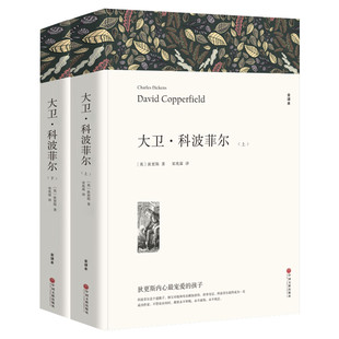 【新华文轩】大卫·科波菲尔 全译本平装版(全2册) (英)狄更斯 正版书籍小说畅销书 新华书店旗舰店文轩官网 中国文联出版社