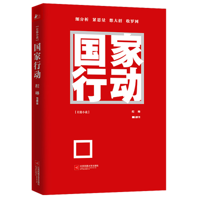 国家行动程琳无论涉及到谁都将一查到底腐败的人背后有人我们的背后有国家悬疑推理警匪破案犯罪打黑惩除恶反腐刑侦官场小说yzx