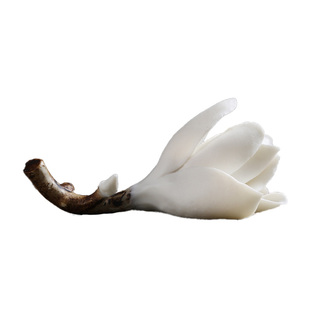 宣品书房白玉兰陶瓷笔搁笔架景德镇陶瓷文房初学者书法国画小楷用品毛笔收纳架书房书桌摆件捏花文玩把玩