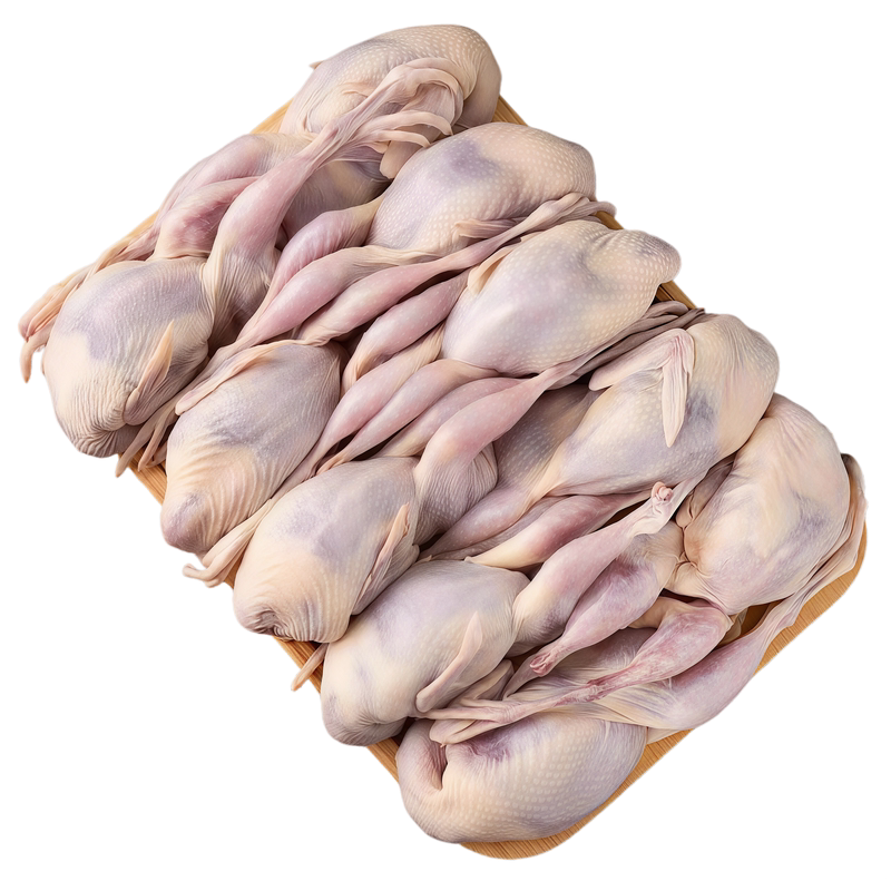 新鲜鹌鹑特大母鹌鹑肉冷冻鲜货活体现杀白条炖汤烧烤生骨肉商用