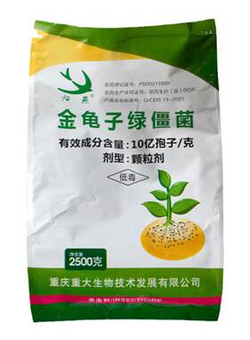 地下害虫归燕金龟子绿僵菌