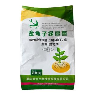 归燕10亿 金龟子绿僵菌 蛴螬花生 防地下害虫杀虫剂