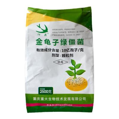 地下害虫归燕金龟子绿僵菌