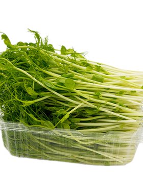 槿馐豌豆苗芽菜新鲜采摘水培璇蔓