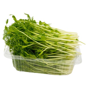 【槿馐】豌豆苗500g 新鲜芽苗蔬菜 碗豆尖 水培璇蔓豆苗 顺丰包邮
