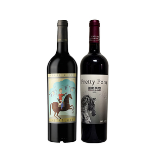 迦南美地古藤兰 小马驹干红葡萄酒礼盒套装2支宁夏红酒750ml