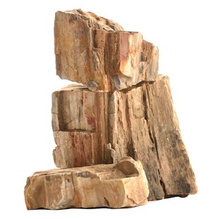 鱼缸造景木化石木纹石草缸假山石水族箱装饰素材园林化石布景原料