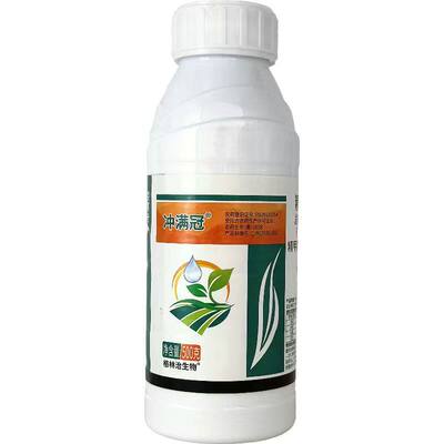 天邦11%精甲咯嘧菌酯拌种剂