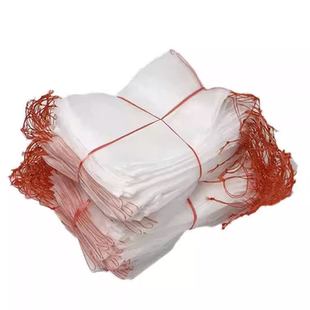 尼龙防虫网袋水果套袋白色种子袋浸种袋滤网火龙果防果蝇防鸟袋子