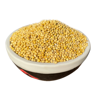 a级精品鹦鹉粮谷子玄凤牡丹鸟粮