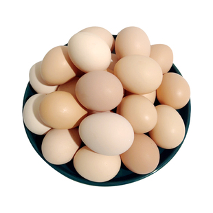 云依禾农庄新鲜鸡蛋柴鸡蛋农家散养土鸡蛋X