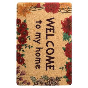 进门地垫入户门大门口厨房丝圈脚垫子踩地毯家用门厅入户入门门垫