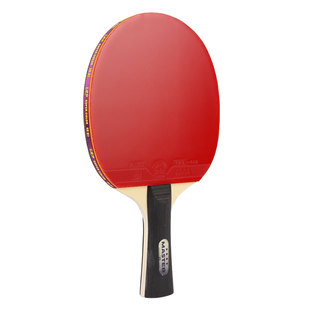 友谊729乒乓球拍官方旗舰正品专业级横拍直拍初学者专用训练套装