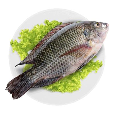 国联水产三去罗非鱼700g*4袋