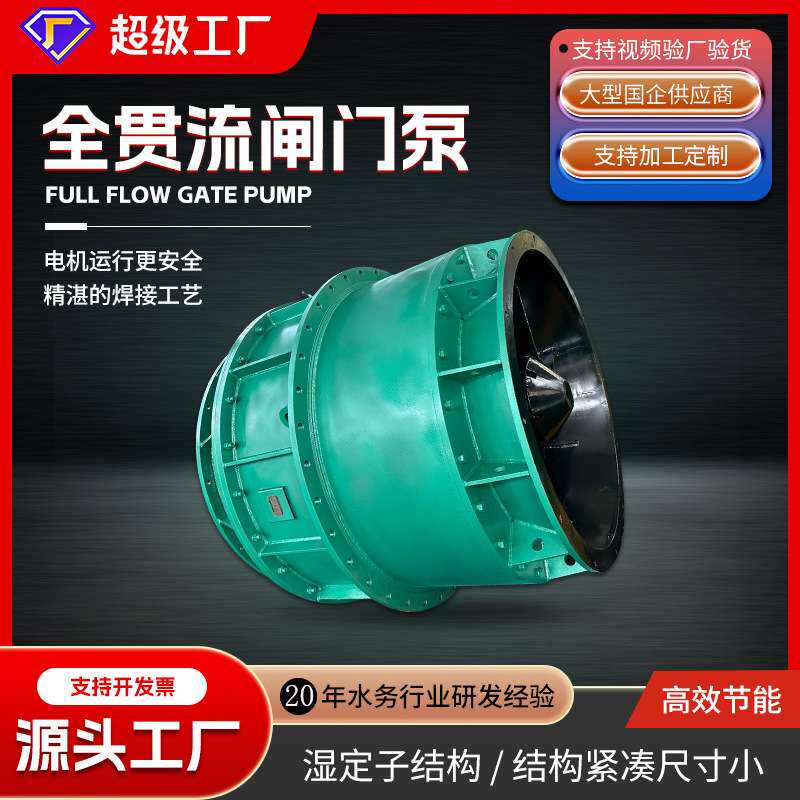 双向排灌一体化泵闸设备 湿定子闸门泵 闸门直连式全贯流泵