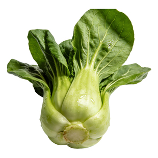 云云农舍 自种蔬菜 露天霜冻苏州青 青菜 软糯香甜 顺丰包邮