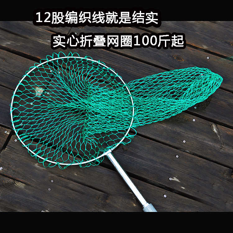 大物鲟鱼青鱼抄网不锈钢伸缩抄网加厚加粗杆鱼网兜巨物50cm实心头