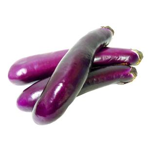 紫红长茄种子春季四季田园阳台盆栽茄子四季种植瓜果庭院蔬菜种子