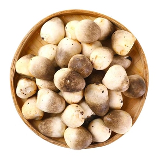 新鲜草菇 兰花菇 草菇 鸡心菇冬阴功食材 天冷只能发江浙沪皖地址