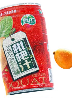【日期2026-04-10】真田枇杷汁饮料310ml福建闽中枇杷果汁量30%