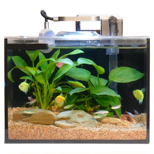 超白玻璃生态溪流客厅家用桌面长方形电视柜水草植物造景小型鱼缸