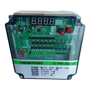 可编程脉冲控制仪LC-PDC-ZC12A  12路 220v 脉冲阀控制仪