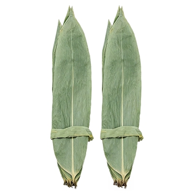 干粽叶包粽子用大号精选特大叶
