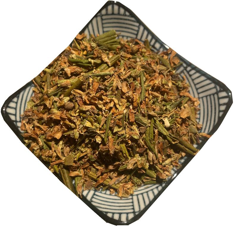 强烈推荐西藏野生 烈香杜鹃 花