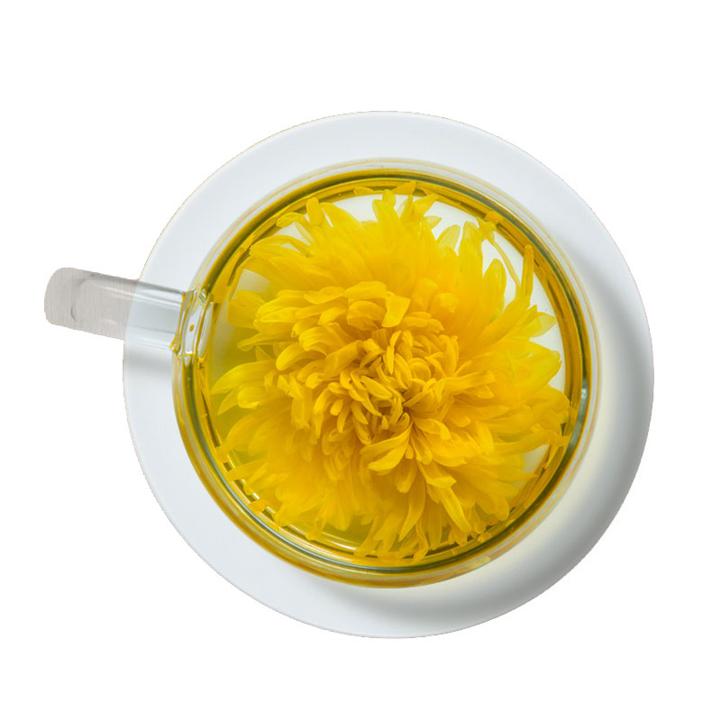 空折枝金丝皇菊婺源菊花高山头采