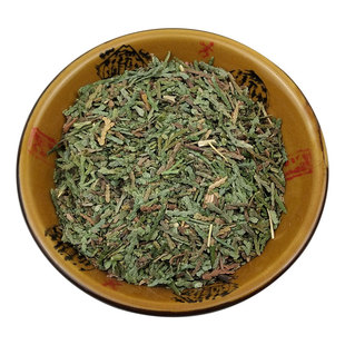 侧柏叶中药材 正品柏叶500克g 柏树叶 新鲜干货 柏树野生扁柏叶