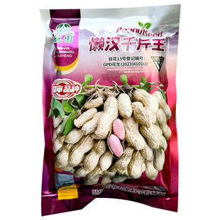 懒汉千斤王高油花生种子种纯手工去壳净籽白沙罗汉果花生米种子孑