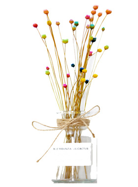 巴西快乐花菠萝菊干花束50支长枝