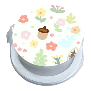 智卡奴 magsafe磁吸气囊支架适用于iPhone15/14/13/12/11/promax手机壳新款小清新花儿透明360度旋转支撑磁铁