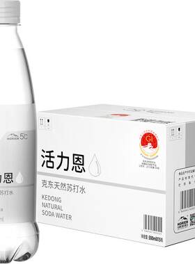 HORIEN/活力恩苏打水500ML*15瓶