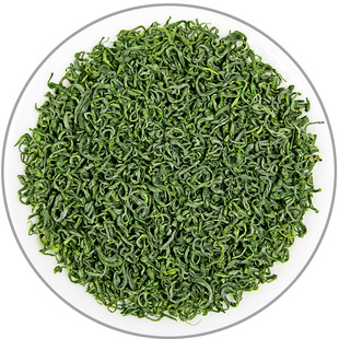 高山云雾绿茶2025新茶松阳香茶浓香型茶叶春茶浙江丽水炒青绿茶
