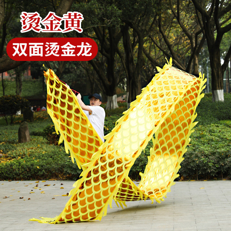 双面烫金健身龙带龙头舞彩带初学者中老年人运动广场舞手甩龙舞龙