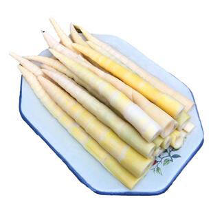 当季新鲜嫩笋尖清水小竹笋袋装春笋脆冬笋江西特产笋丝500克水笋