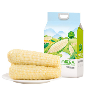 世际德力北方白糯玉米真空锁鲜粘苞米棒低脂粗粮4.48斤