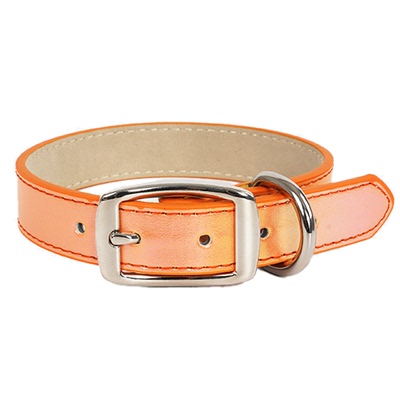 AZERIA狗狗项圈牵引绳小狗遛狗绳