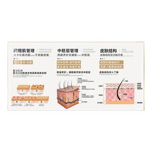 美容院医美装饰画皮肤管理结构图原理剖析挂画咨询面诊宣传广告画
