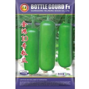 和利农正源金鸿10号瓠瓜种子短蒲瓜种籽农家菜葫芦小瓠子蔬菜苗孑