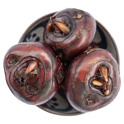 25年头茬新鲜特大荔浦马蹄荸荠