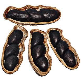 2025年云南黑花生普洱特产味甜生吃小零食山野露珠花生米带壳500g