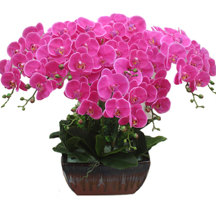 高档PU手感仿真蝴蝶兰花单支防真花摆设摆件客厅装饰高品质假花